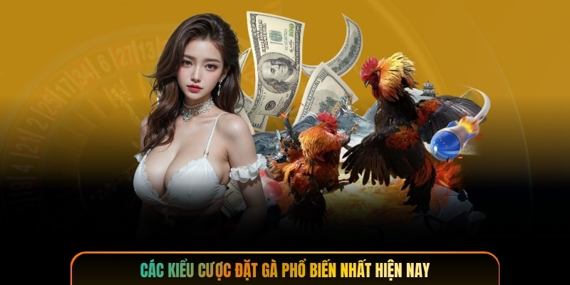 Các kiểu cược đặt gà phổ biến nhất hiện nay