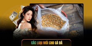 Các Loại Mồi Cho Gà Đá - Bí Quyết Từ Cao Thủ