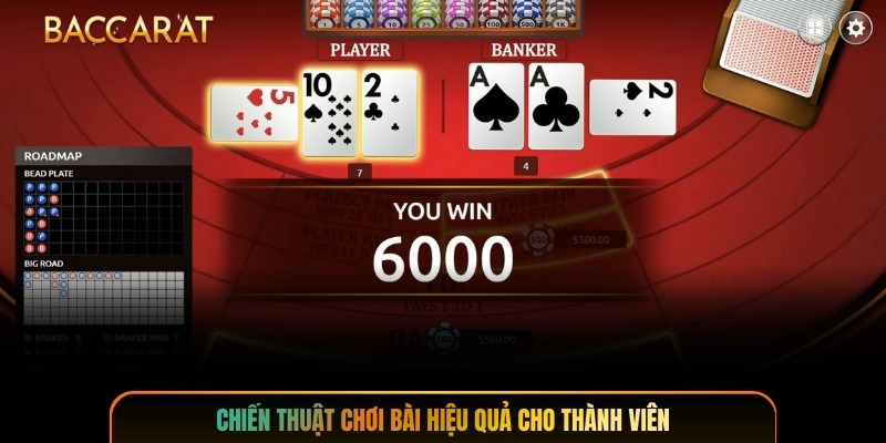 Chiến thuật chơi bài hiệu quả cho thành viên