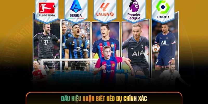 Dấu hiệu nhận biết kèo dụ chính xác