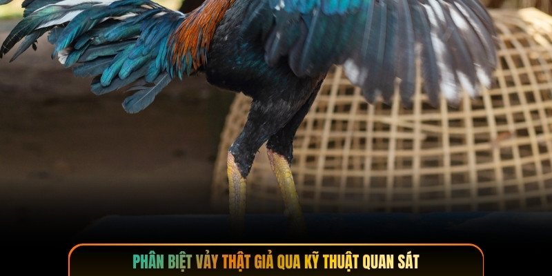 Phân biệt vảy thật giả qua kỹ thuật quan sát