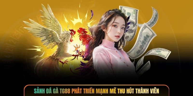 Sảnh đá gà TG88 phát triển mạnh mẽ thu hút thành viên